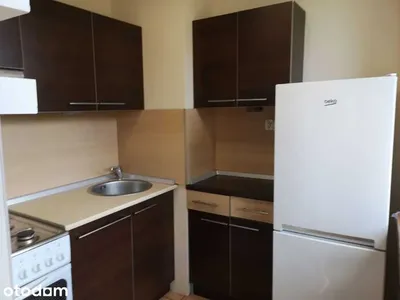Katowice, 2 pokoje, wyposażone, do zamieszkania - miniatura 4