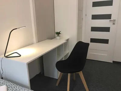 Pokoje z łazienkami w ścisłym centrum - miniatura 2