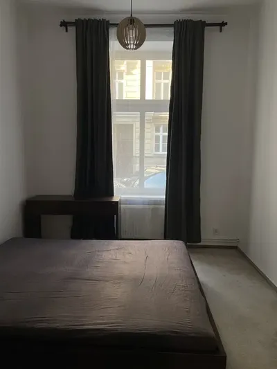 Zwierzolubne mieszkanie w centrum Poznania - miniatura 4