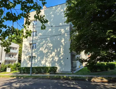 Mieszkanie 2 pokoje (46 m²) przy Parku | Katowice, ul. Bednorza 38 - miniatura 2