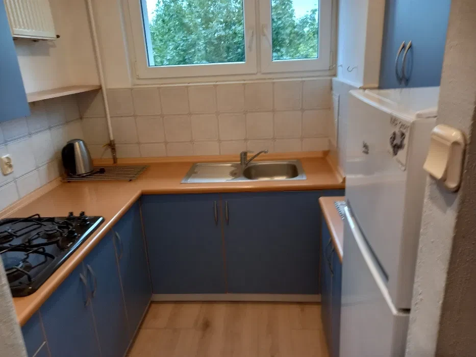 Mieszkanie 2 pokojowe winogrady - 1/3