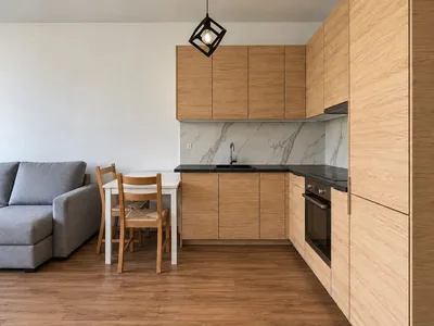 2 pokoje z garażem w cenie, balkon, pełne wyposażenie i dobry standard. Nowy blok - miniatura 3