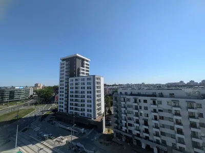 Kawalerka Mieszka I