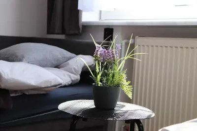 POKÓJ do wynajęcia MEDIA W CENIE SUCHA BESKIDZKA 1,2 osobowy - miniatura 3