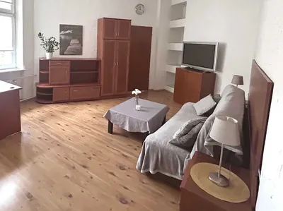 Przestronny i jasny pokój/mieszkanko (z własną kuchnią i łazienką) dla studentki w centrum blisko uczelni - miniatura 3