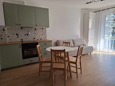 Nowe mieszkanie do wynajęcia / 2 pokojowe / Złocień - miniatura 2