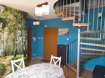 Rzeszów, ul. Zelwerowicza – blisko Uniwersytetu 46m wynajmę - miniatura 3