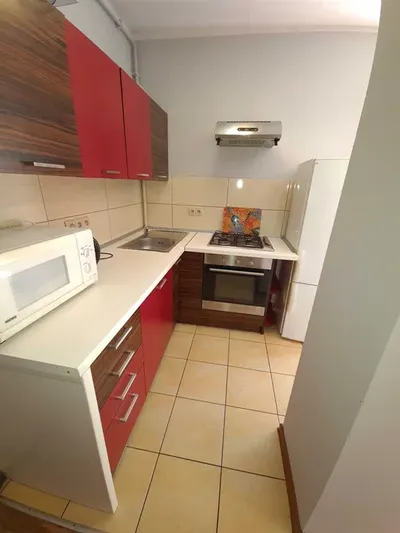 Duże sześciopokojowe mieszkanie w świetnej lokalizacji tuż przy ŚUM - Katowice, Ligota, ul. Kazimierza Wielkiego - miniatura 2