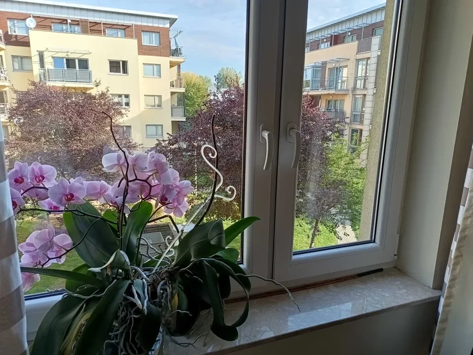 Wynajmę mieszkanie 3 pok. 78m2 z garażem, Katowice Ligota Park - 1/8