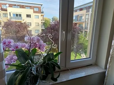 Wynajmę mieszkanie 3 pok. 78m2 z garażem, Katowice Ligota Park