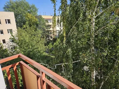 Mieszkanie do wynajęcia KABATY | 52,5 m² | 2 POKOJE | METRO 7 MIN | KLIMATYZACJA | BALKON | SGGW - miniatura 2