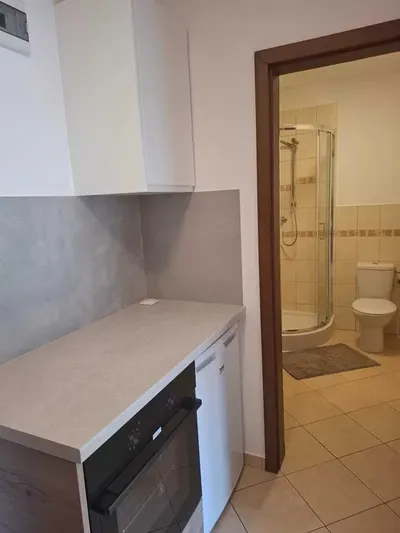 Wynajem mieszkania 30 m2 ul Radzikowskiego Kraków - miniatura 5