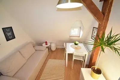 *Śląska 4, Okole, przyjazne zwierzętom studio. BRAK PROWIZJI