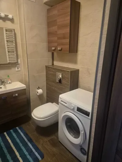 Mieszkanie 3 pokojowe do wynajęcia - miniatura 3
