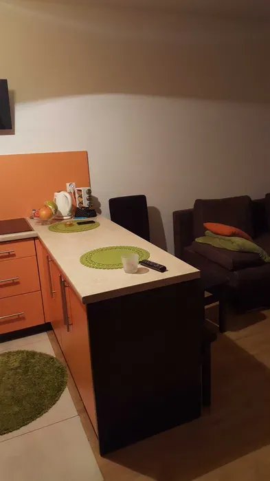 Do wynajęcia 49 m- 2 pokoje Wola ul Radziwie 5 - 2700 zł z miejscem postojowym w cenie - miniatura 3