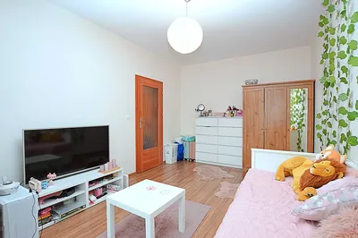 2 osobne pokoje, mieszkanie 47 metrowe, ul. Kluczborska, na KROWODRZEJ GÓRCE, ZGODA NA ZWIERZAKA, TRAMWAJ 7min do rynku, DARMOWE MIEJSCA POSTOJOWE - miniatura 2
