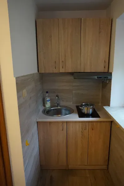 Mieszkanie na wynajem 20m2 - miniatura 3