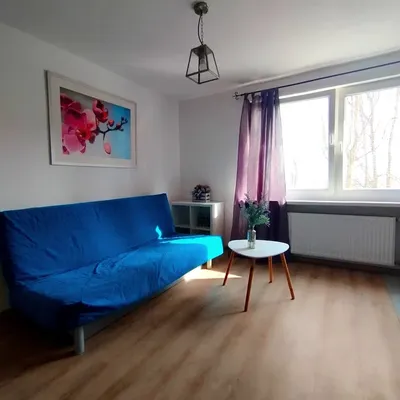 Kawalerka Gdańsk Strzyża VII dwór - miniatura 4
