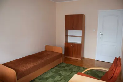 Jednoosobowy pokój w mieszkaniu studenckim o wysokim standardzie w pobliżu UMK wynajmę niepalącej studentce dziennej - miniatura 4