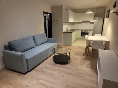 Mieszkanie 2-pokojowe - pet-friendly, świeżo po remoncie, klimatyzacja - miniatura 3