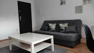 Duży pokój 15m2, os. Brzezina, blisko UMK, bez żadnych dodatkowych opłat - miniatura 3