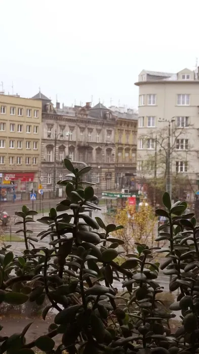 Beautiful apartment in the center of Kraków (old town district) 74m2 for rent - miniatura 3