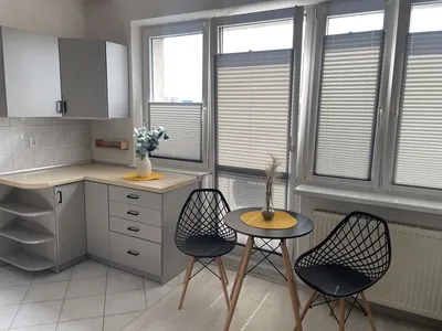 Mieszkanie do wynajęcia 2 pokoje - miniatura 2