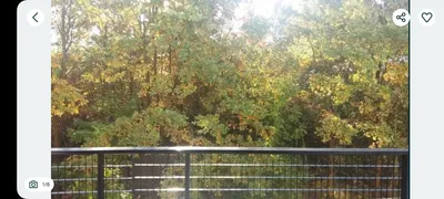 Mieszkanie do wynajęcia 2 pokoje Osiedle Klasyków