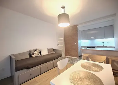 Zabłocie, apartament 2 pokoje, miejsce postojowe komórka - miniatura 3