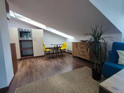 Mieszkanie - open space 60 m2 - Raciborska ! KLIMATYZACJA! Czynsz w cenie ! - miniatura 4