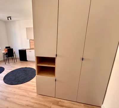 Przestronna kawalerka | Rynek Łazarski | Centrum Poznania - miniatura 3