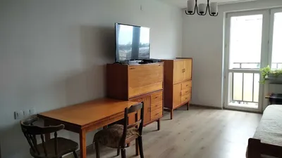 Do wynajęcia przestronne studio (pokój + aneks + łazienka) z pięknym widokiem na Filtry, Warszawa, ul. Daleka 6 - miniatura 3