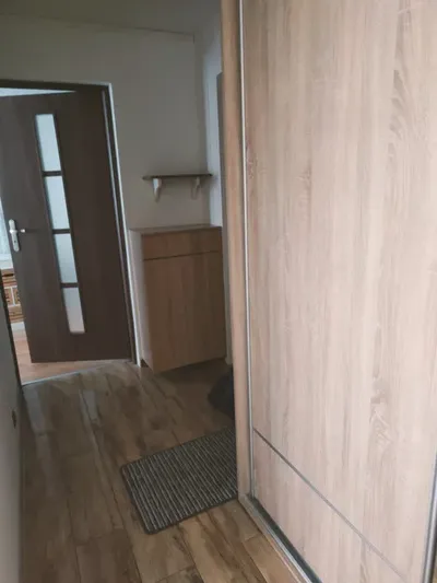 Mieszkanie na wynajem dziesięciny - miniatura 3
