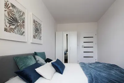 2 pokoje ul. Mikołajczyka 2, balkon, pies/kot akcept, siatka na balkonie