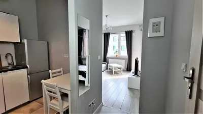 Mieszkanie jednopokojowe do wynajęcia - miniatura 5