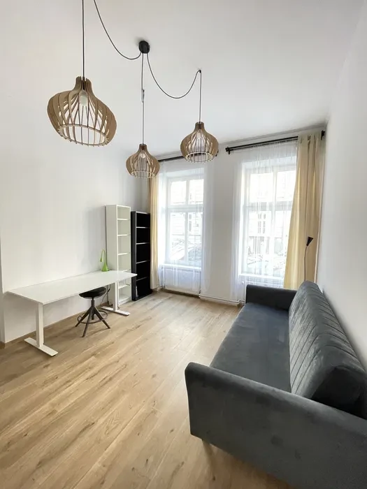 Zwierzolubne mieszkanie w centrum Poznania - 1/7