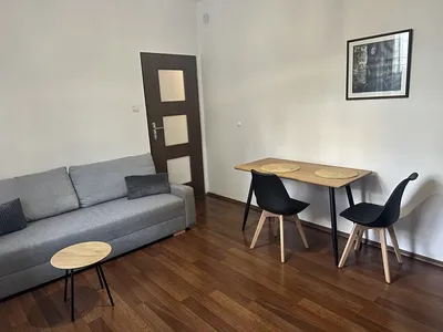 2-pokojowe mieszkanie przy Parku Dreszera blisko metra - miniatura 2