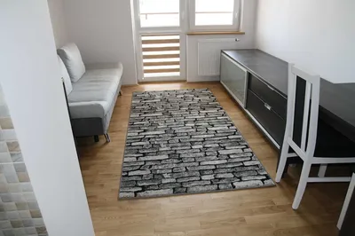 Mieszkanie z klimatyzacją, dwupokojowe na Czechowie + garaż - miniatura 3