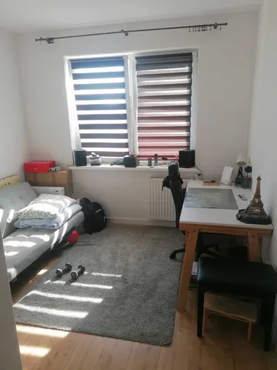 Mieszkanie 3 pokoje/bezpośrednio/Pilsudskiego/Rataje/tereny zielone - miniatura 3