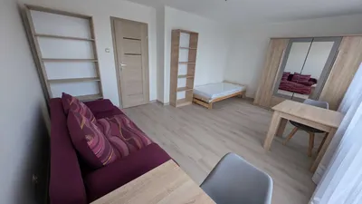 Ul. Sienkiewicza, do wynajęcia 2 pokoje 8,5 i 20 m2, balkon, widok na park, komfortowe, świeżo po generalnym remoncie. - miniatura 3