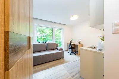 Kawalerki na wynajem , 4 minuty pieszo od ŚUM, zamykany teren, apartamenty z aneksem kuchennym i łazienką - miniatura 4