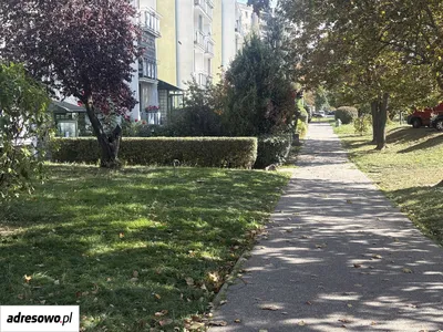 Warszawa Śródmieście Mieszkanie do wynajęcia bez pośredników - miniatura 2