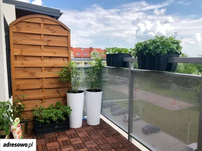 Wrocław Gaj ul. Kłodzka Mieszkanie do wynajęcia bez pośredników - miniatura 2