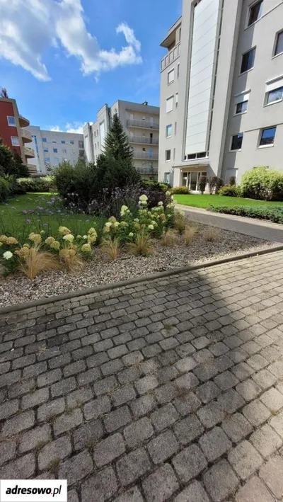 Poznań Grunwald ul. Świt Mieszkanie do wynajęcia bez pośredników - miniatura 3