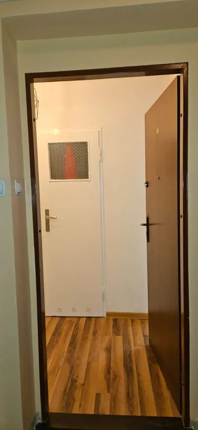 Poznań Grunwald ul. Świt 48 Mieszkanie do wynajęcia bez pośredników - miniatura 5