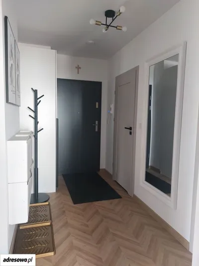 Łódź Polesie ul. Wołowa Mieszkanie do wynajęcia bez pośredników - miniatura 3