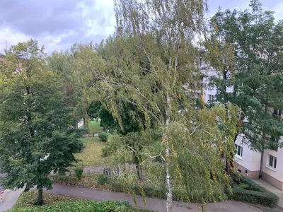 Poznań Ogrody Mieszkanie do wynajęcia bez pośredników - miniatura 3