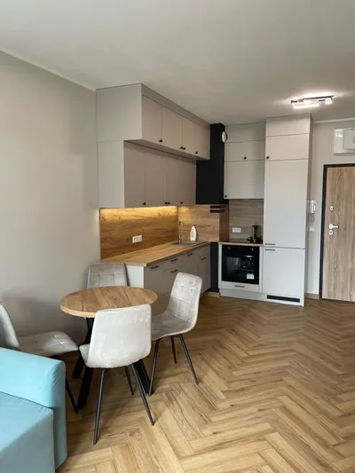 Łódź Górna ul. Nowe Sady 85 Mieszkanie do wynajęcia bez pośredników - miniatura 2