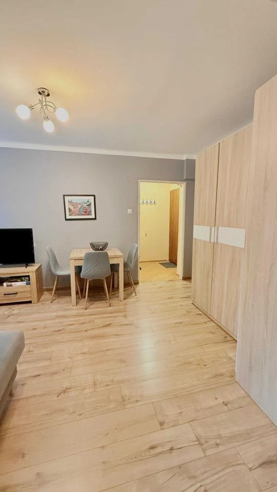 Katowice Koszutka Mieszkanie do wynajęcia bez pośredników - 1/9
