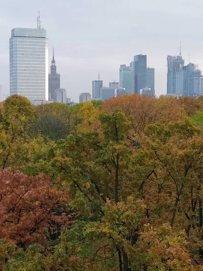 Warszawa Śródmieście Mieszkanie do wynajęcia bez pośredników - miniatura 2